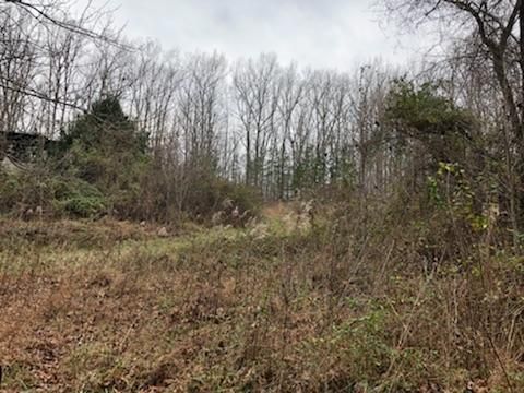 429 Pea Ridge Rd, Burrville, TN 37872-2727