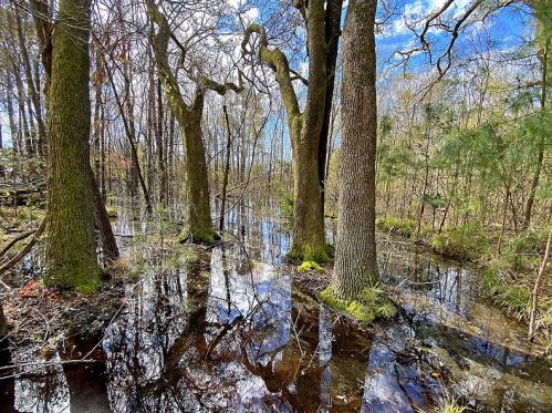 215 Winding River Dr, Johns Island SC  29455-3466 exterior