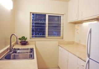 10073 Santa Clara Ave, Cupertino CA  95014-1212 exterior