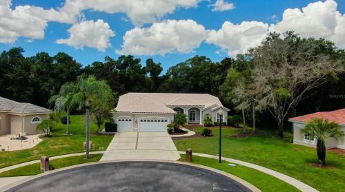 3874 Crescent Cove Pl, Tarpon Springs FL  34688-7708 exterior