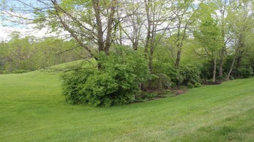 153 Wellington Dr, Florence KY  41042-7719 exterior