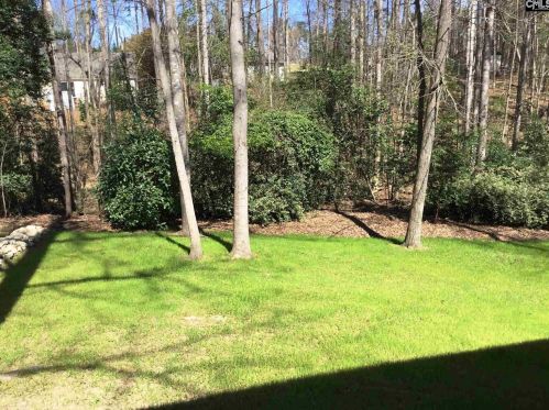 241 Teesdale Ct, Lexington SC  29072-2737 exterior