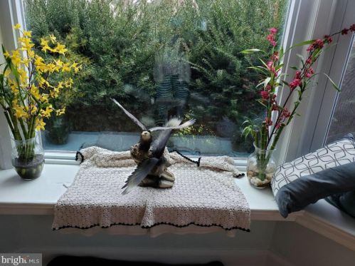 26 Johns Rd, Cheltenham PA  19012-1420 exterior