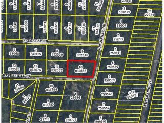 35163 Batesfield St, Ridge Manor Estates, FL 33597-0092