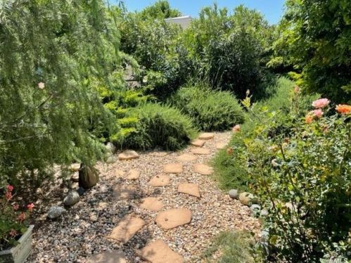 1597 Alamo Dr, Vacaville CA  95687-6001 exterior