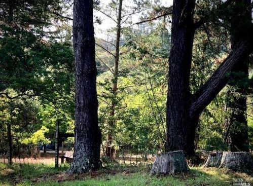 3431 Burnside Rd, Sebastopol CA  95472-9139 exterior