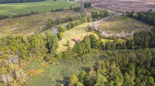 1420 Baltic Rd, Blackville SC  29817-3637 exterior