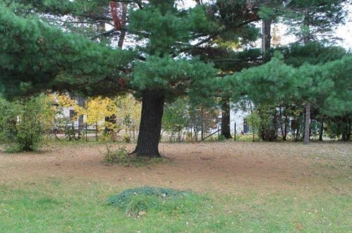 114 Tousley Ave, Butler, MN 56567-4309