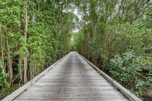9979 Osprey Pointe Dr, Hobe Sound FL  33455-3023 exterior