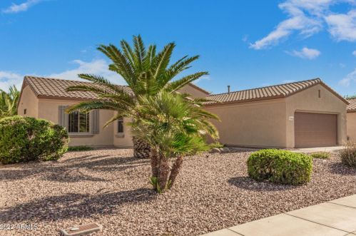 21339 Black Bear Lodge Dr, Sun City AZ  85387-8203 exterior