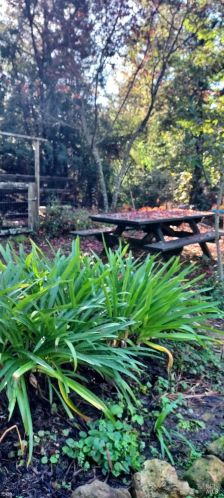 43400 Iversen Rd, The Sea Ranch CA  95445-7582 exterior