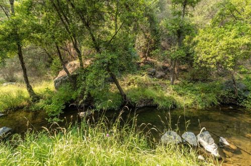 11552 Tom Ray Dr, Grass Valley CA  95949-9713 exterior