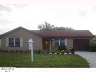 3615 Edenwood Dr, Tarpon Springs, FL 34691-1221