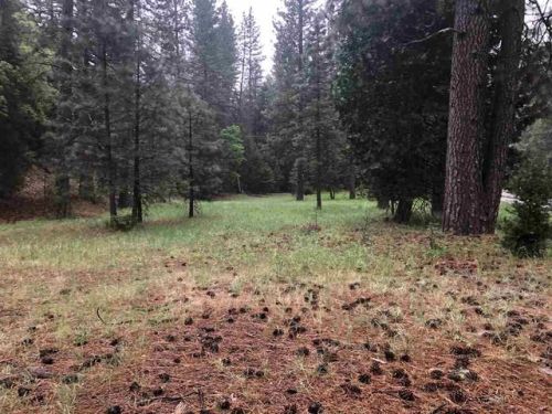 247 Genesee Rd, Taylorsville, CA 95983