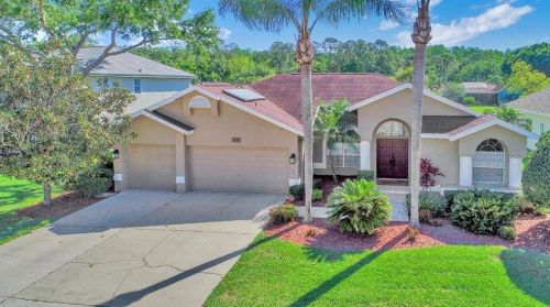 4333 Ridgemoor Dr, Palm Harbor, FL 34685-0011