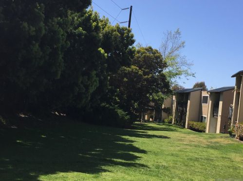 820 Encinitas Blvd, Encinitas CA  92024-3314 exterior