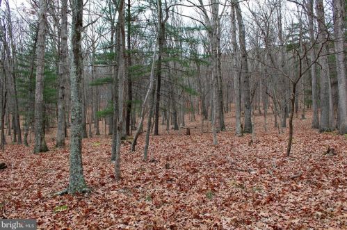 529 Posy Hill Rd, Lost City, WV 26810-8521