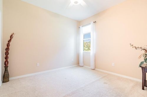 11156 Belle Hvn Dr, New Port Richey FL 34654-4491 exterior