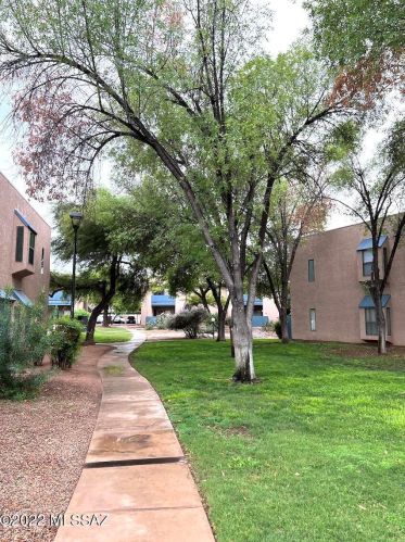 8080 Speedway Pl, Tucson, AZ 85710