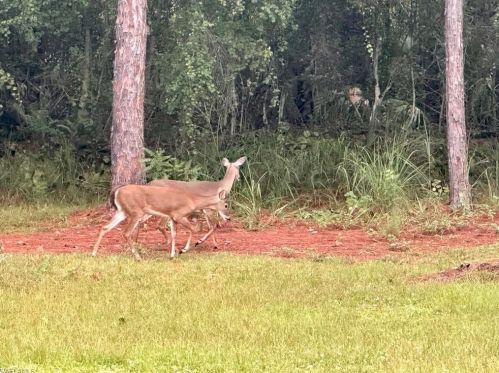 4580 1st Ave, Naples FL  34119-2651 exterior