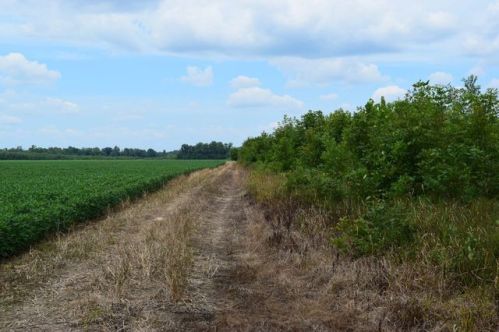8000 County Road 600, Crothersville, IN 47229