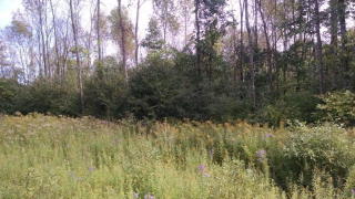 12 Bouchard Dr, Peru, NY 12972-5002