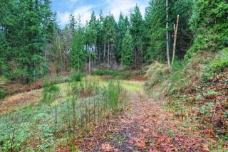 15300 173rd St, Woodinville, WA 98072-6215