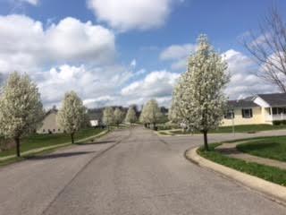 100 Overbrook Cir, Glendale, KY 42701-6468