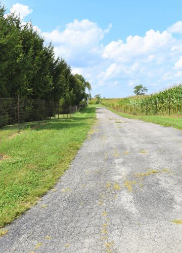567 Bethel Ln, Wilmington, OH 45177-7144