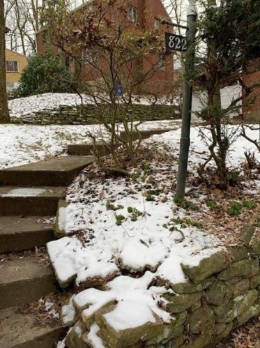 822 Hawthorne Dr, Pittsburgh, PA 15235-4149