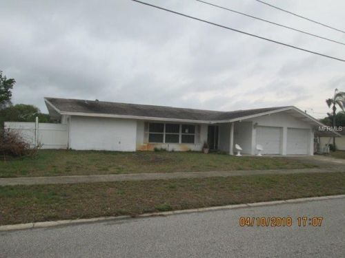 1411 Basswood Dr, Tarpon Springs, FL 34690-6606