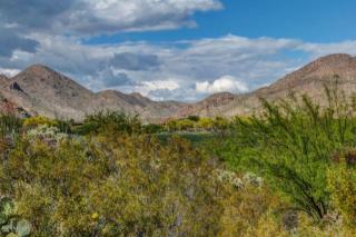 5302 Winding Desert Dr, Marana, AZ 85658-4015