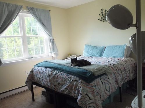 85 Horse Pond Rd, Colchester CT  06420-4040 exterior