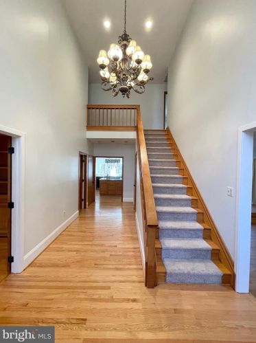 513 Arnon Lake Dr, Great Falls, VA 22066-3928