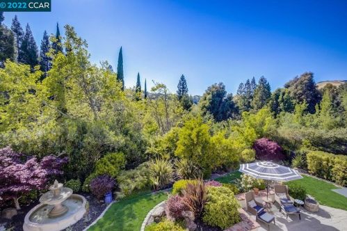 695 Blue Spruce Dr, Danville CA  94506-4525 exterior