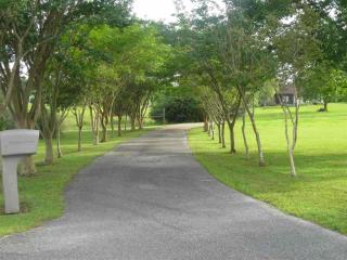 5370 Chestnut Rd, Molino, FL 32577-6035