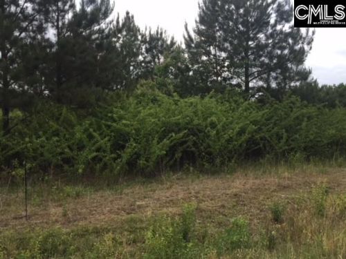 2348 Camp Rd, Bethune, SC 29009-9060