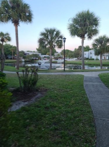 3885 Atrium Dr, Orlando, FL 32822-3706