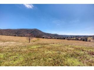 345 Pleasant Hill Rd, Blountville, TN 37617-6011