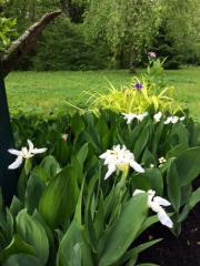 318 Creek Rd, Bartville, PA 17509-9632