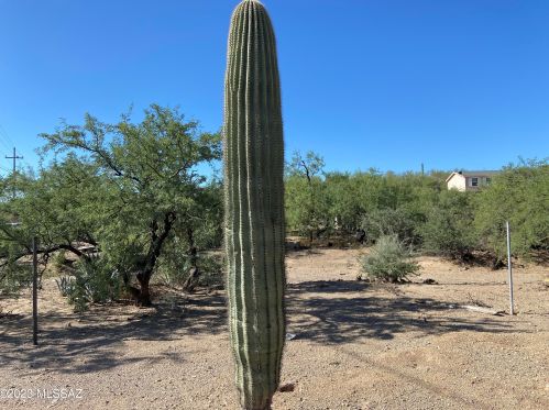 3811 Bilby Rd, Tucson AZ 85706-4506 exterior