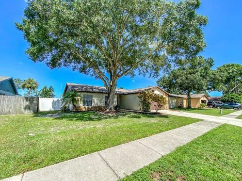 12905 Tallowood Ct, Riverview, FL 33579-7001