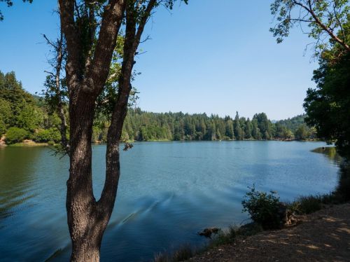 715 Trinkling Creek Dr, Lompico CA  95018-8821 exterior