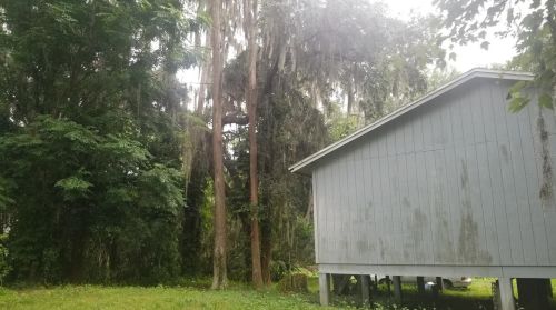 21891 Pineywood Loop, Land O Lakes FL  34639-3753 exterior