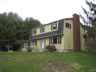 3 Sawmill Rd, Barryville, NY 12719-5630