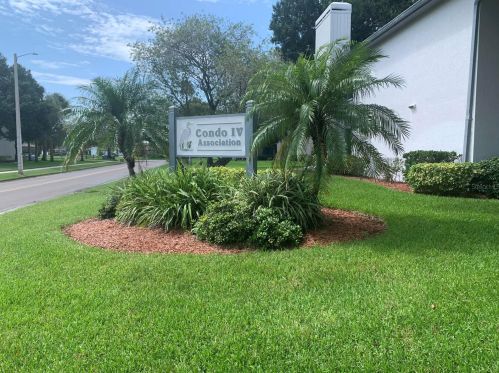 313 Martha Ln, Oldsmar, FL 34677-2275