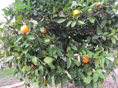 15179 Las Brizas Ln, Sun City AZ 85375-2827 exterior