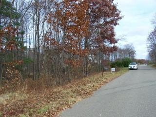 18 Hanna St, Sugarloaf, PA 18249-1066
