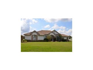 1326 Hambletonian Dr, Hernando, FL 34442-5220