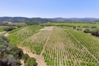 22700 Walling Rd, Geyserville, CA 95441-9546